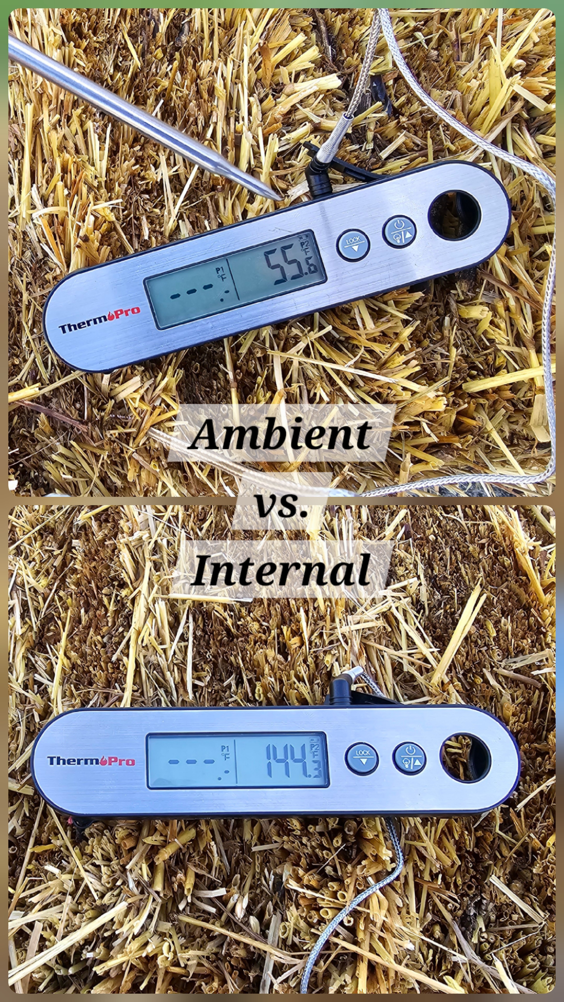 Digital thermometer measuring internal temperature of decomposing straw bale showing natural heat generation