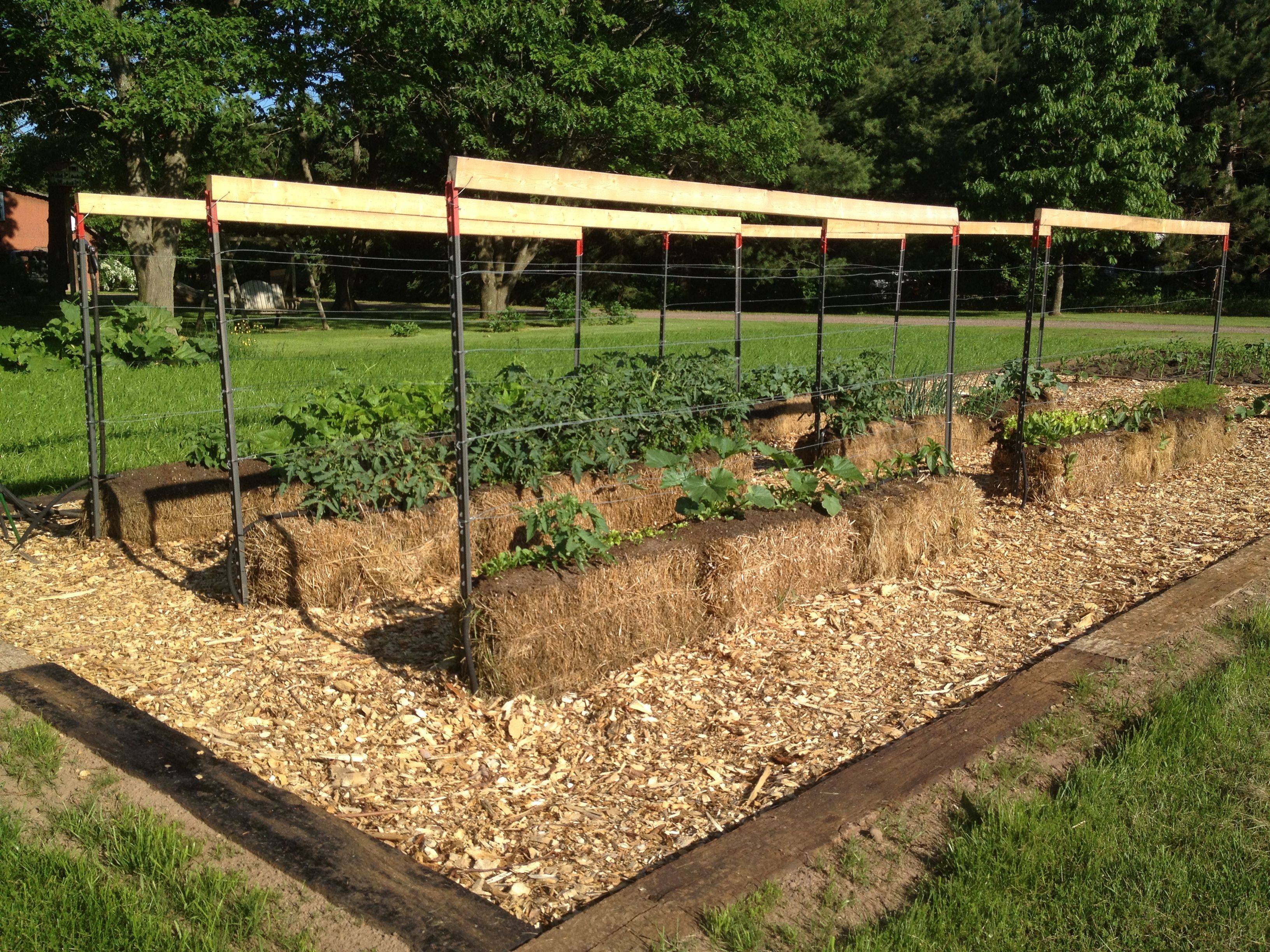 Perfect garden location with full sun exposure and easy water access showing straw bales positioned on concrete patio